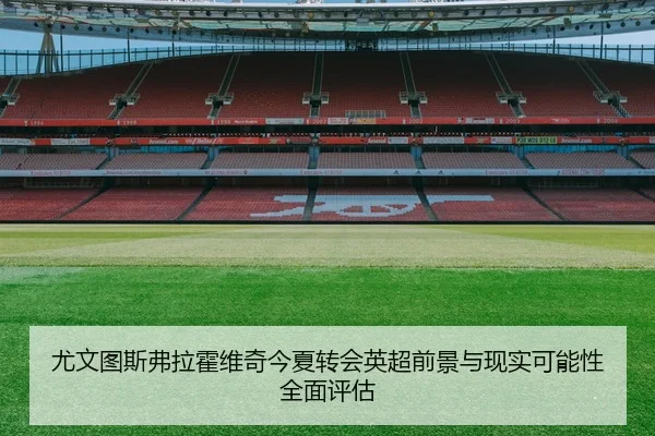 尤文图斯弗拉霍维奇今夏转会英超前景与现实可能性全面评估